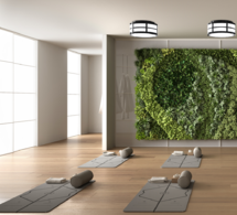 CANTO ENVIRONMENT_C1_WEB.png